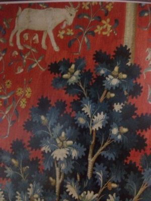 貴婦人と一角獣 展 視覚と我が唯一の望み 千日紅 花 気ままにアート 好きなこと