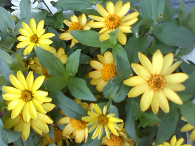 f0061067_17562644.jpg