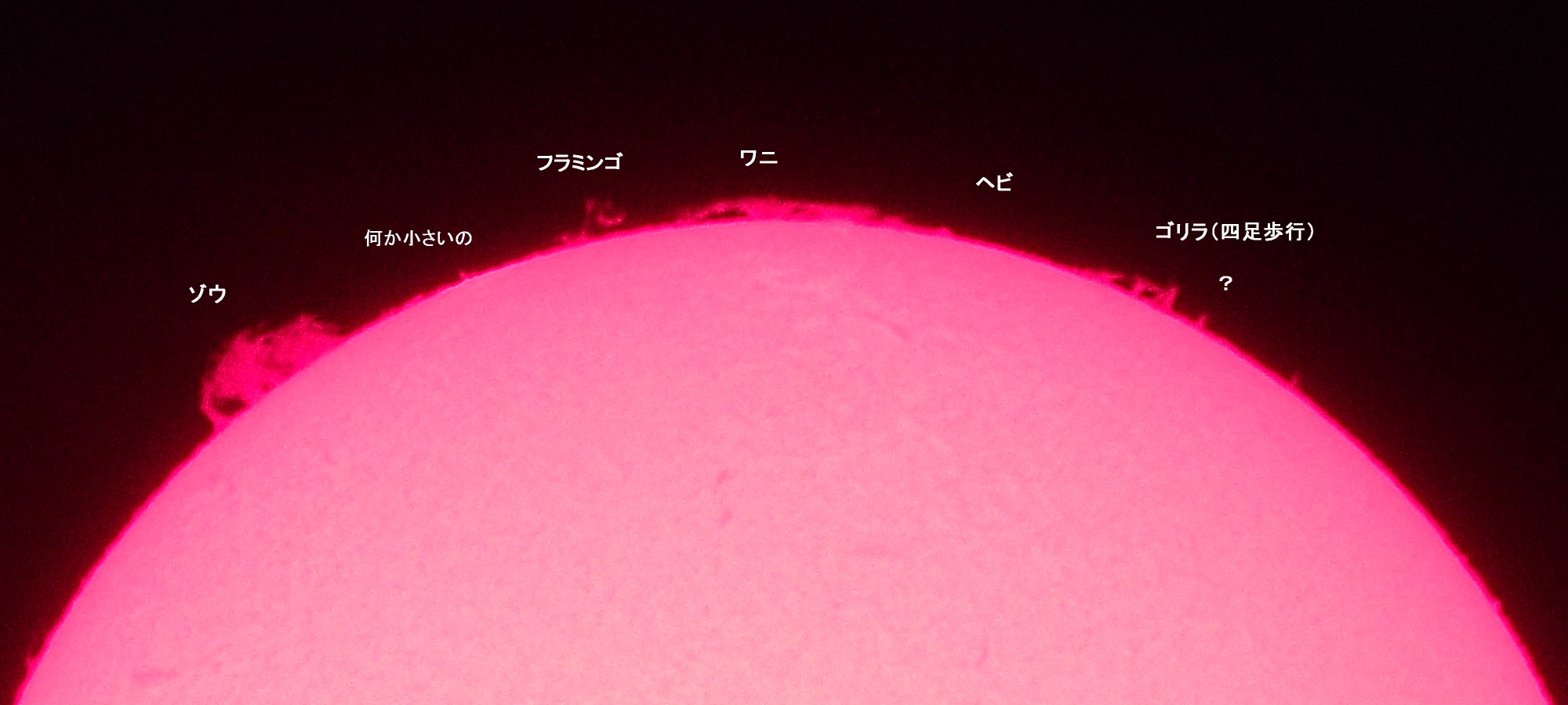 a0095470_015722.jpg