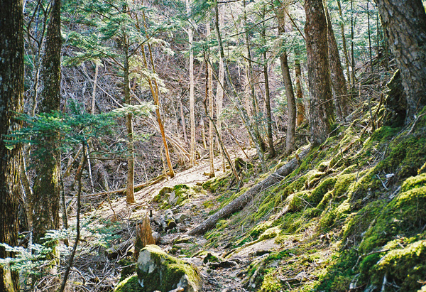 a0207672_161452.jpg