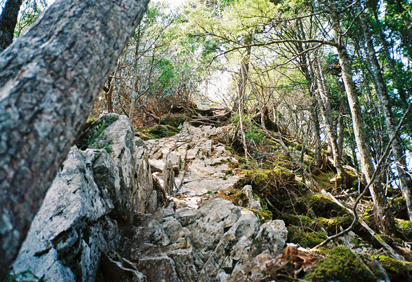 a0207672_17852.jpg