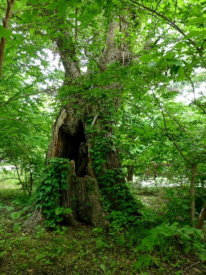 d0084473_224417.jpg
