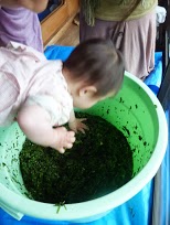 野草酵素ジュースできました!〜後編_e0263590_314428.jpg