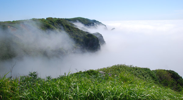 f0159390_1682291.jpg