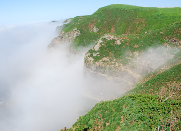 f0159390_168297.jpg