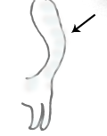 e0248598_23531556.png