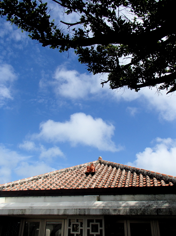 c0015099_01558.jpg