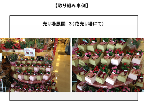 f0070004_17582246.png