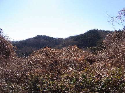 c0051112_20503516.jpg