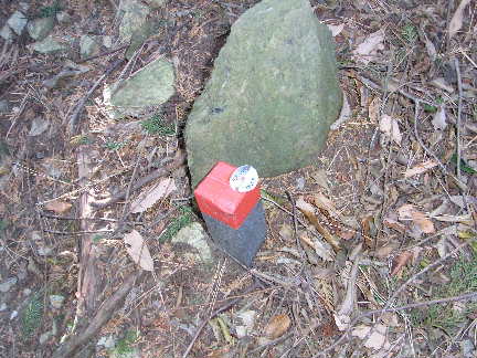 c0051112_20514122.jpg