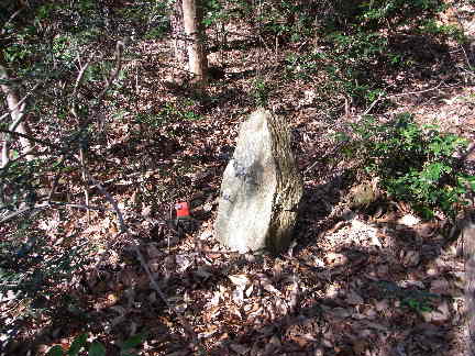 c0051112_20534661.jpg