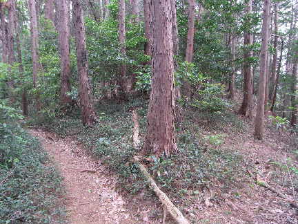 c0051112_20565985.jpg