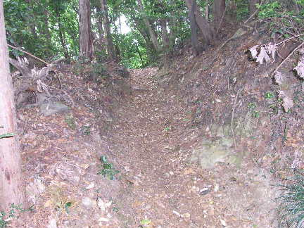 c0051112_2113383.jpg
