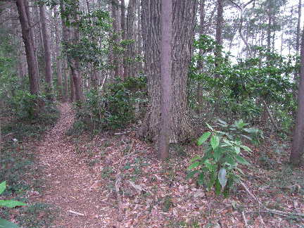 c0051112_213845.jpg