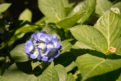 f0251613_2203359.gif