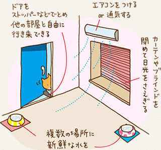 簡単に出来る暑さ対策 ねころん 簡単に出来る暑さ対策 ねころん