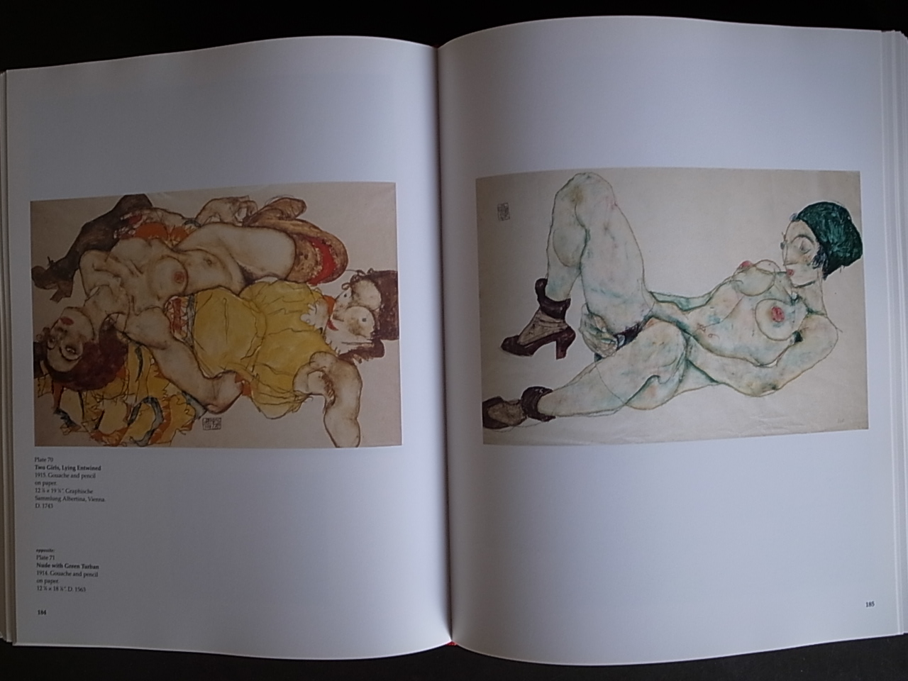 EGON SCHIELE THE COMPLETE WORKS / Jane Kallir_a0227034_10322366.jpg