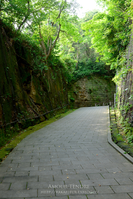 c0250634_11116.jpg