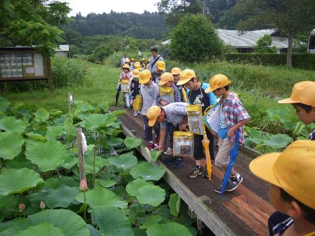 小学校の校外学習×２！_a0123836_183284.jpg