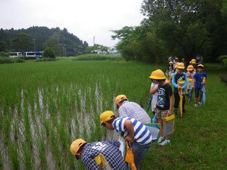 小学校の校外学習×２！_a0123836_188149.jpg