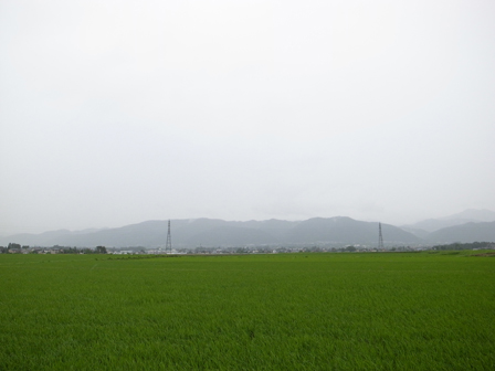 a0014840_21726.jpg