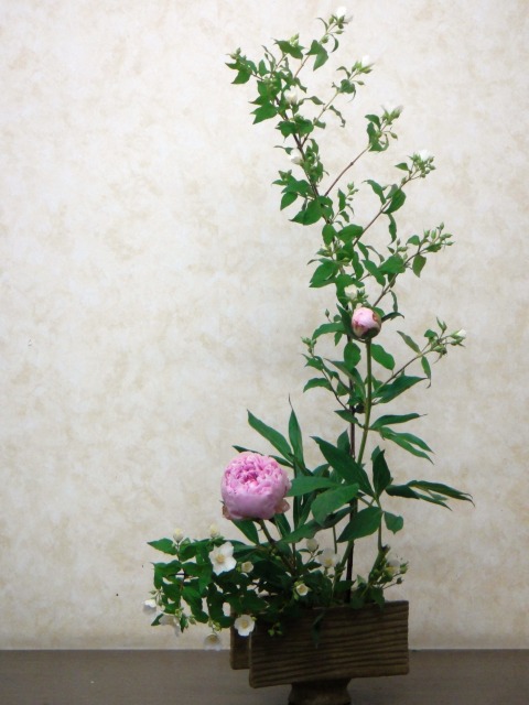 6月の生け花_e0195743_18551225.jpg