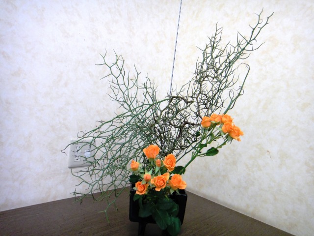 6月の生け花_e0195743_18561567.jpg