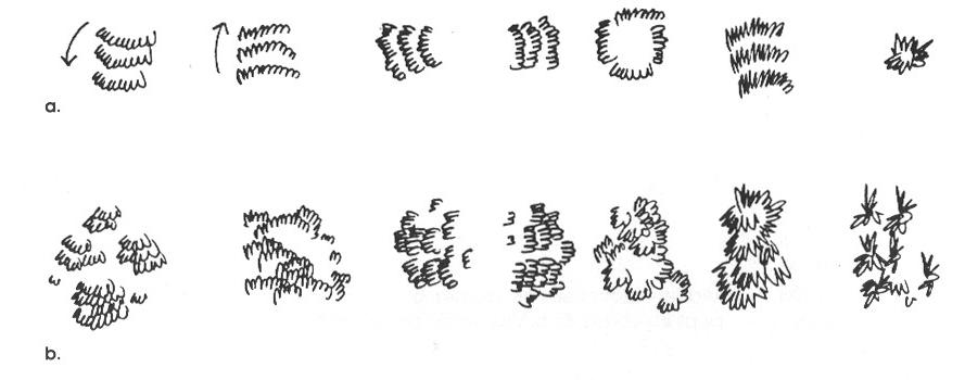 第8章ー１　（イラスト込み）_f0239150_13305786.jpg