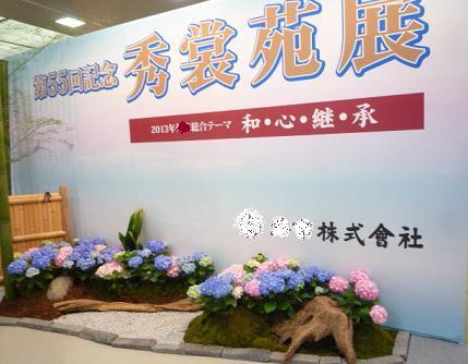 夏結城に田植えの帯のお客様、来月は祇園祭。_f0181251_1538481.jpg