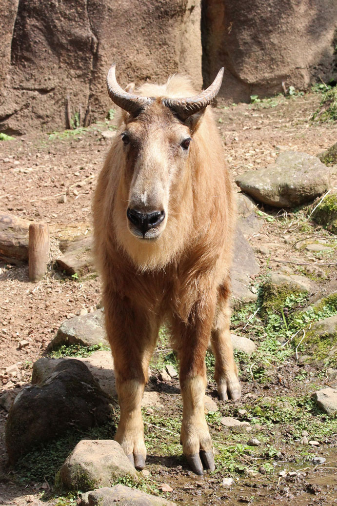 e0294253_9181339.jpg