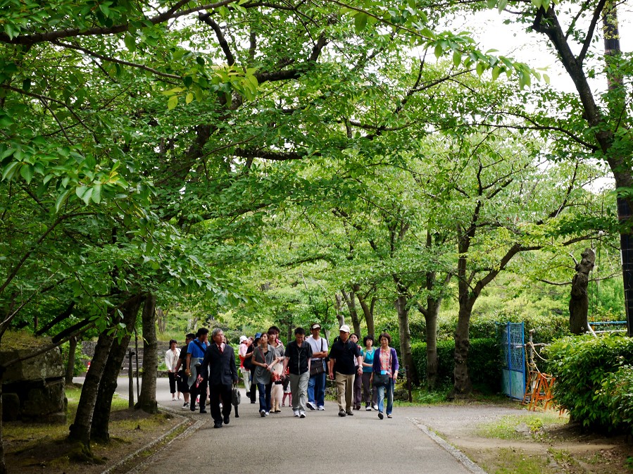 　　和歌山城公園にて_b0093754_19312261.jpg