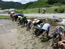 田植え合宿_e0114963_13305483.jpg