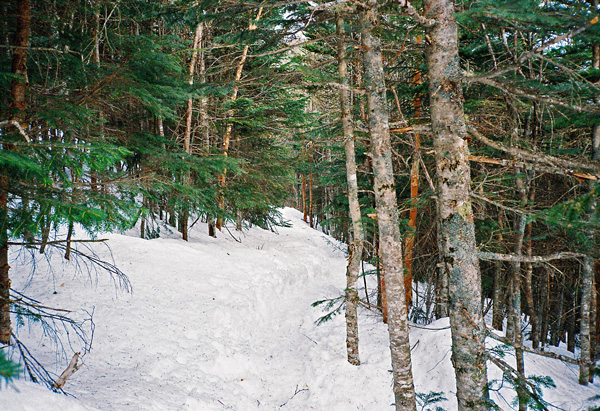 a0207672_1572058.jpg