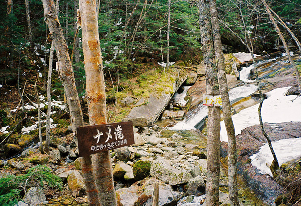 a0207672_1581960.jpg