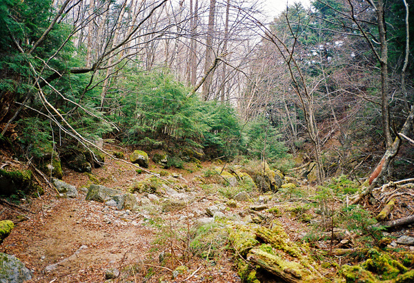 a0207672_1582862.jpg