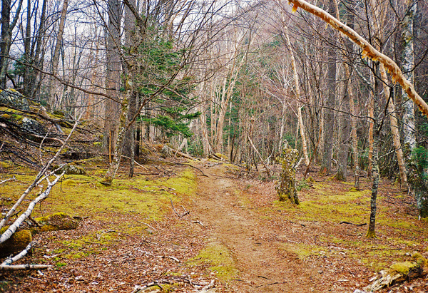 a0207672_1583830.jpg