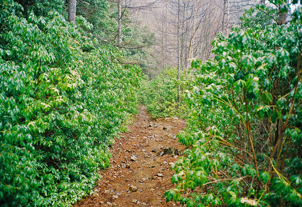a0207672_1584886.jpg