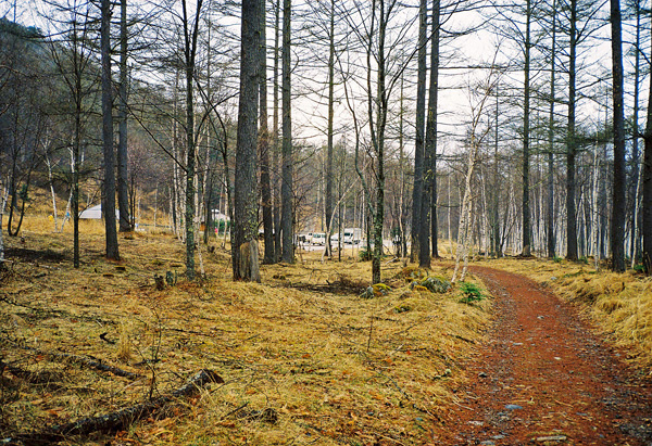 a0207672_202665.jpg