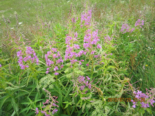 f0259373_9313025.jpg