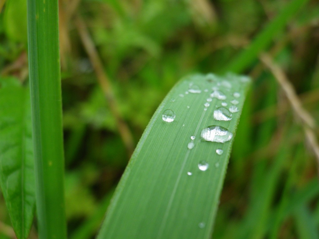 d0054276_20502412.jpg