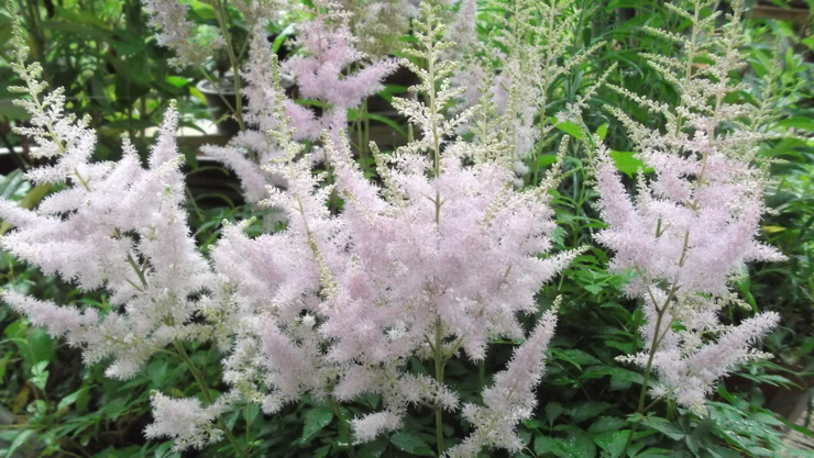 c0212083_2263843.jpg
