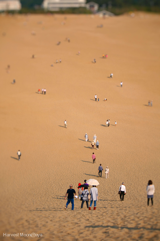 歩く人々_b0208495_2294721.jpg