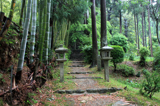 夏の嵯峨野6 護法弁財天_e0048413_21425795.jpg