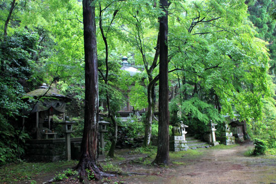 夏の嵯峨野6 護法弁財天_e0048413_21431265.jpg