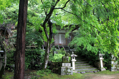 夏の嵯峨野6 護法弁財天_e0048413_21432738.jpg