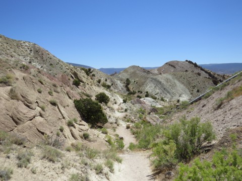 a0097322_11334230.jpg
