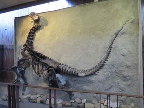 Dinosaur National Monument : America's National Parks Dinosaur National Monument : America's National Parks