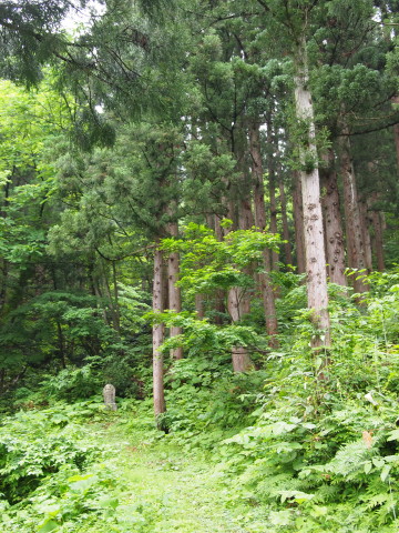 b0147224_213941100.jpg