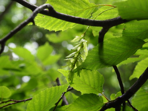 b0147224_21492827.jpg