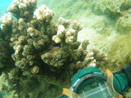 13.6.22 今日も那覇出張_b0100730_19501550.jpg